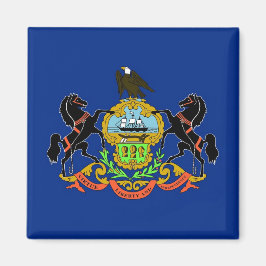 Imán Magnet con bandera del estado de Pennsylvania - Es