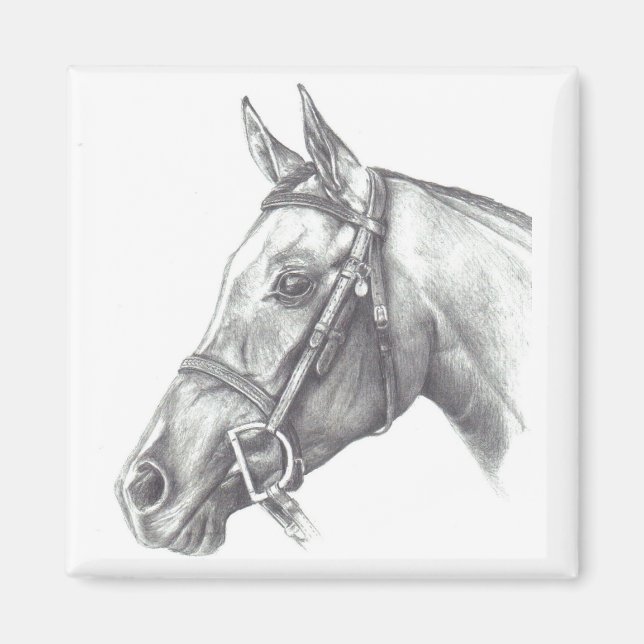 IMÁN MAGNET CON CABEZA DE CABALLO (Frente)