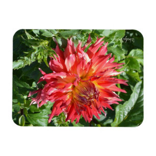 Imán Magnet con dahlia de llama naranja