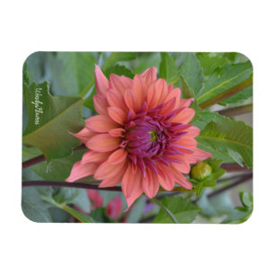 Imán Magnet con dahlia rubia