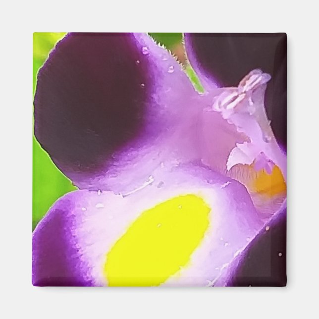 Imán Magnet con flor natural (Frente)