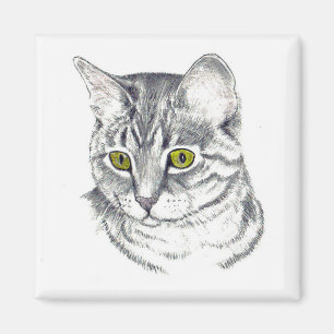 IMÁN MAGNET CON GATO TIGRE