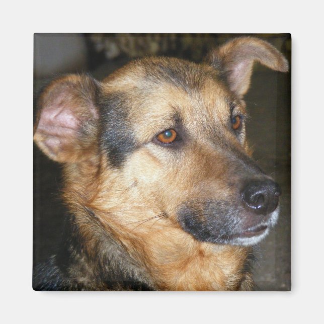 Imán Magnet con perro (Frente)