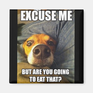 IMÁN MAGNET CON SAYINS