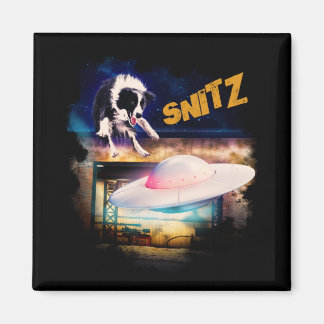 Imán Magnet con Snitz de la reparación de Bob's Saucer