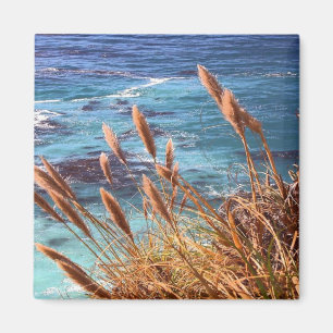 Imán Magnet costero de California