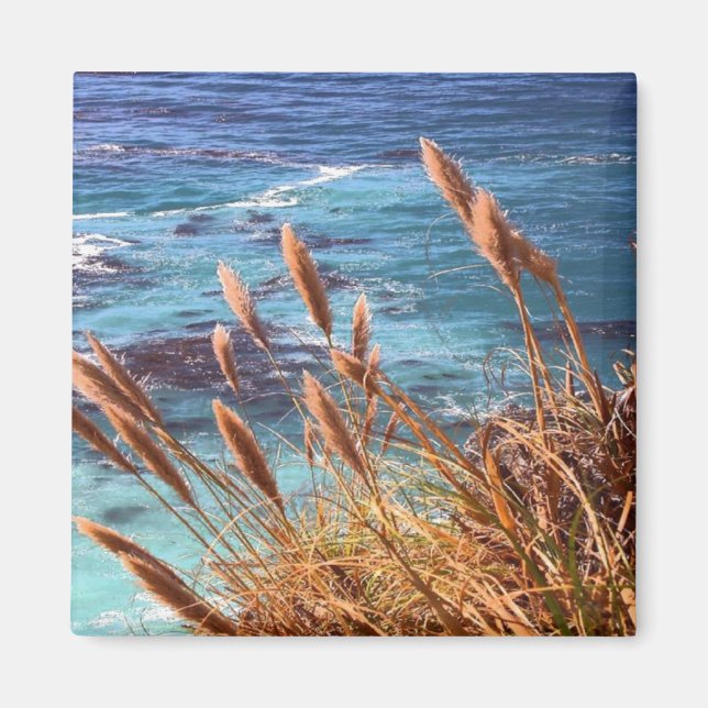 Imán Magnet costero de California (Frente)