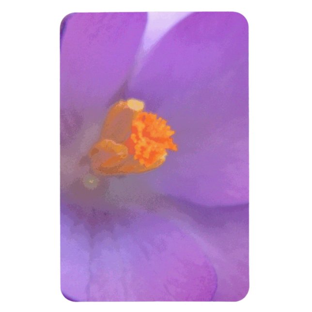 Imán Magnet Crocus Premium (Vertical)