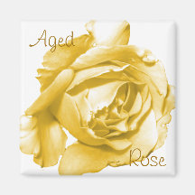 Magnet cuadrado de Rosa de edad