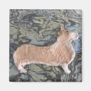 Imán Magnet cuadrado y redondo de Corgi