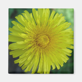 Imán Magnet - Dandelion