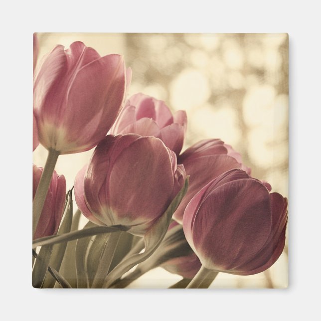 Imán Magnet de Amigos (Frente)