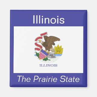 Imán Magnet de Bandera de Illinois