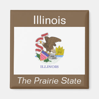 Imán Magnet de Bandera de Illinois
