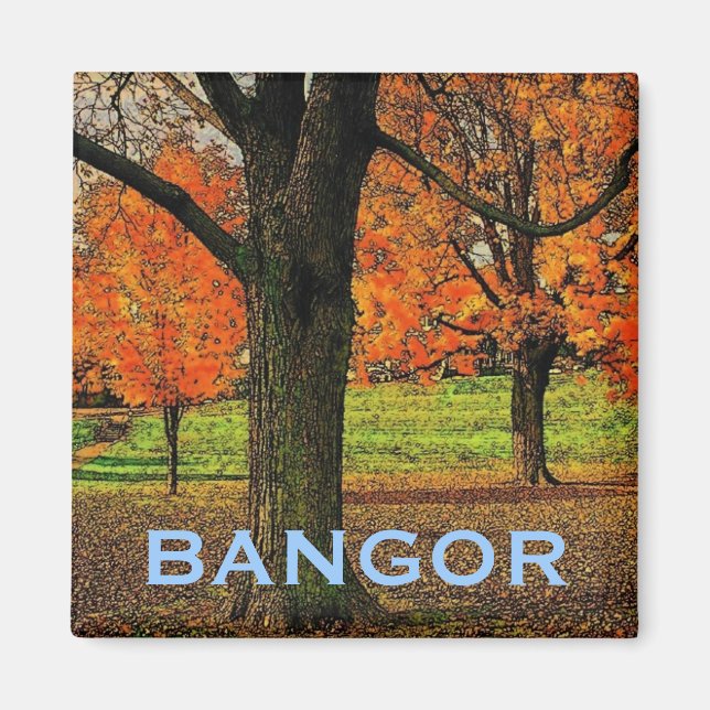 Imán Magnet de Bangor (Frente)