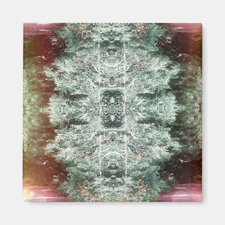 Imán Magnet de "captura"