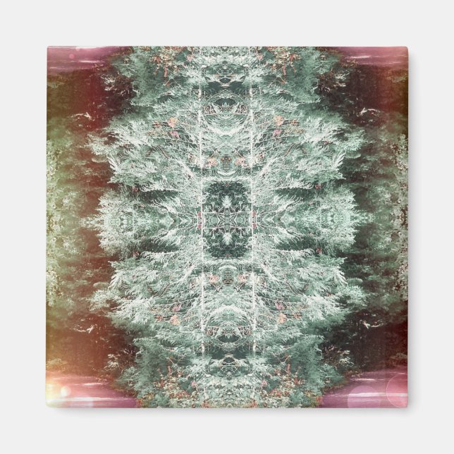 Imán Magnet de "captura" (Frente)