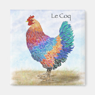 Imán Magnet de cocina de gallo francés