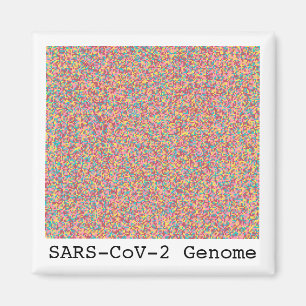 Imán Magnet de Coronavirus