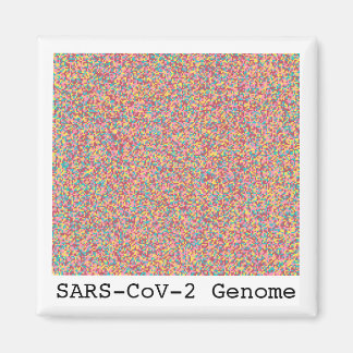 Imán Magnet de Coronavirus