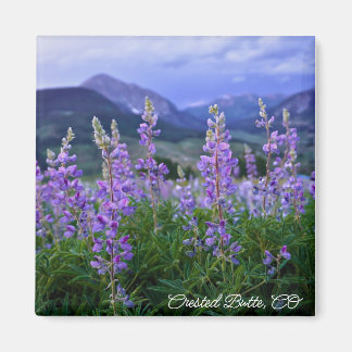 Imán Magnet de Crested Butte