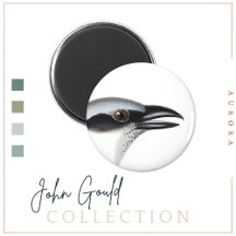 Magnet de Cucko-shrike