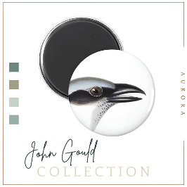 Imán Magnet de Cucko-shrike