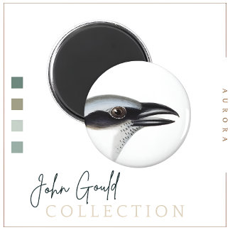 Imán Magnet de Cucko-shrike