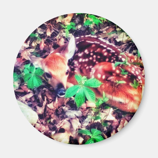 IMÁN MAGNET DE FAWN (Frente)