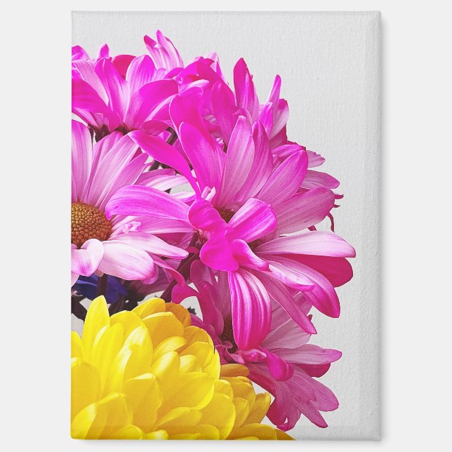 Imán Magnet de flores rosas y amarillas - The Dabs de M (Anverso)