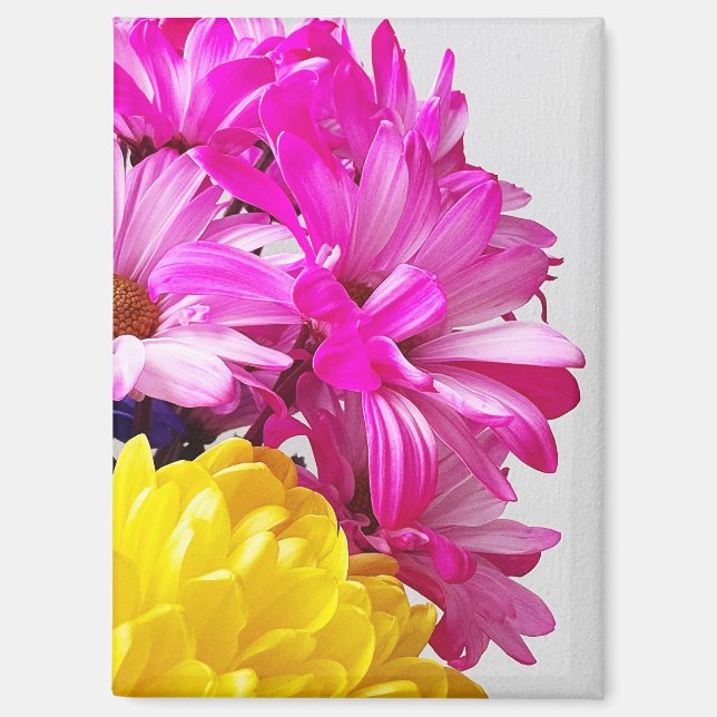 Imán Magnet de flores rosas y amarillas - The Dabs de M (Anverso)