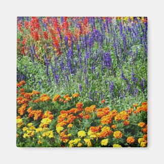 Imán Magnet de fotografía de flores de belleza de jardí