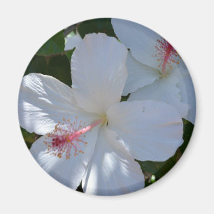 Imán Magnet de fragancia floral