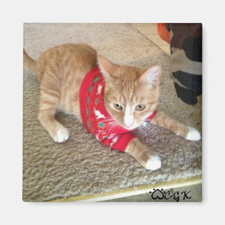 IMÁN MAGNET DE FRIDGE CGK