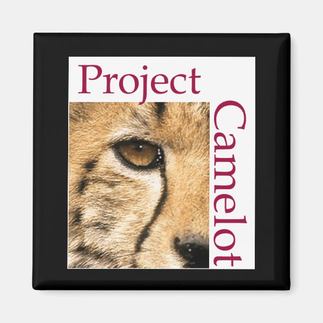 IMÁN MAGNET DE FRIGORÍFICO DE CAMELOT DE PROYECTO (Frente)