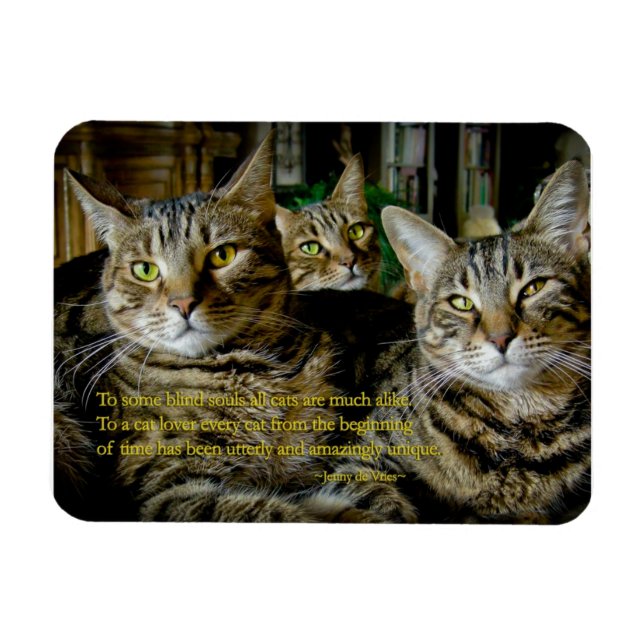 Imán Magnet de gato inspirador - Todos los gatos son ún (Horizontal)