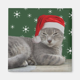 Imán Magnet de gatos de navidades