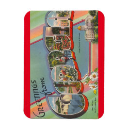 Imán Magnet de Georgia