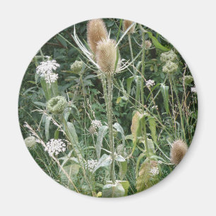 Imán Magnet de gramíneas silvestres