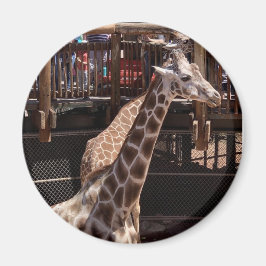 Imán Magnet de la abuela #1