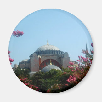 Imán Magnet de la Mezquita Majestuosa