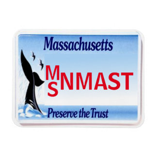 Imán Magnet de la placa de licencia de mamáes