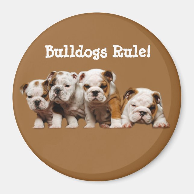 Imán Magnet de los Cachorros de bulldog (Frente)