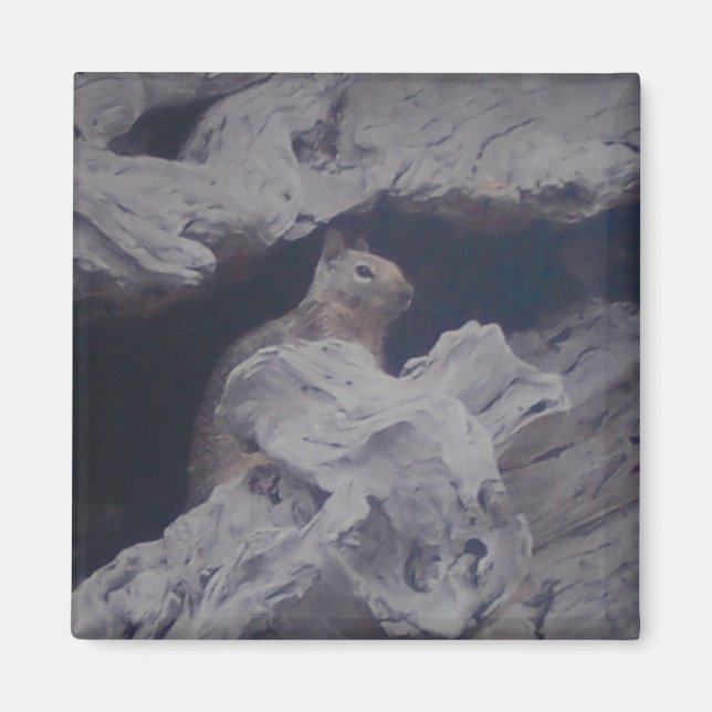 Imán Magnet de observador silencioso (Frente)