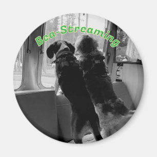 Imán Magnet de perros para transmisión de Bea