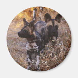 Imán Magnet de perros salvajes
