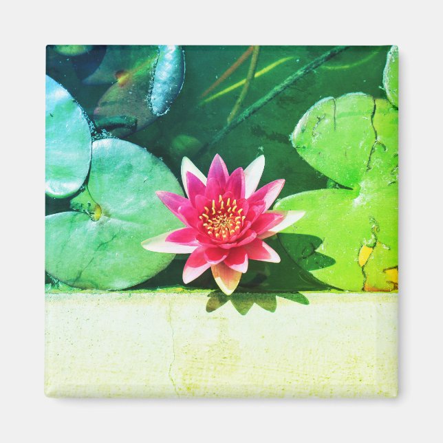 Imán Magnet de plantas de flores de lirio verde rojo es (Frente)
