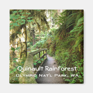 Imán Magnet de recuerdo: bosque tropical Quinault, poli