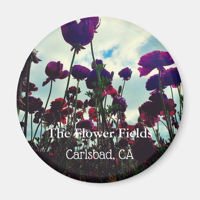 Imán Magnet de recuerdo: Los campos de flores en Carlsb (Frente)