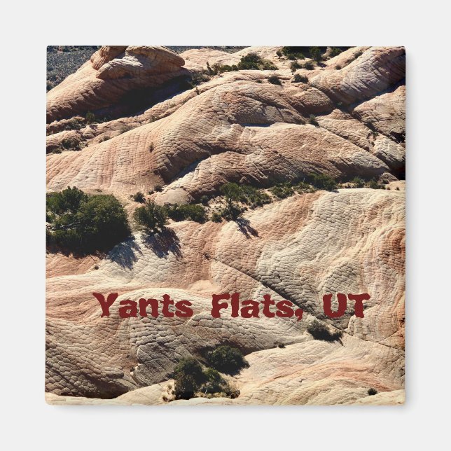 Imán Magnet de recuerdo: Yants Flats, St. George, UT (Frente)